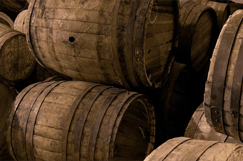 Sala de barricas de Bodegas Delampa