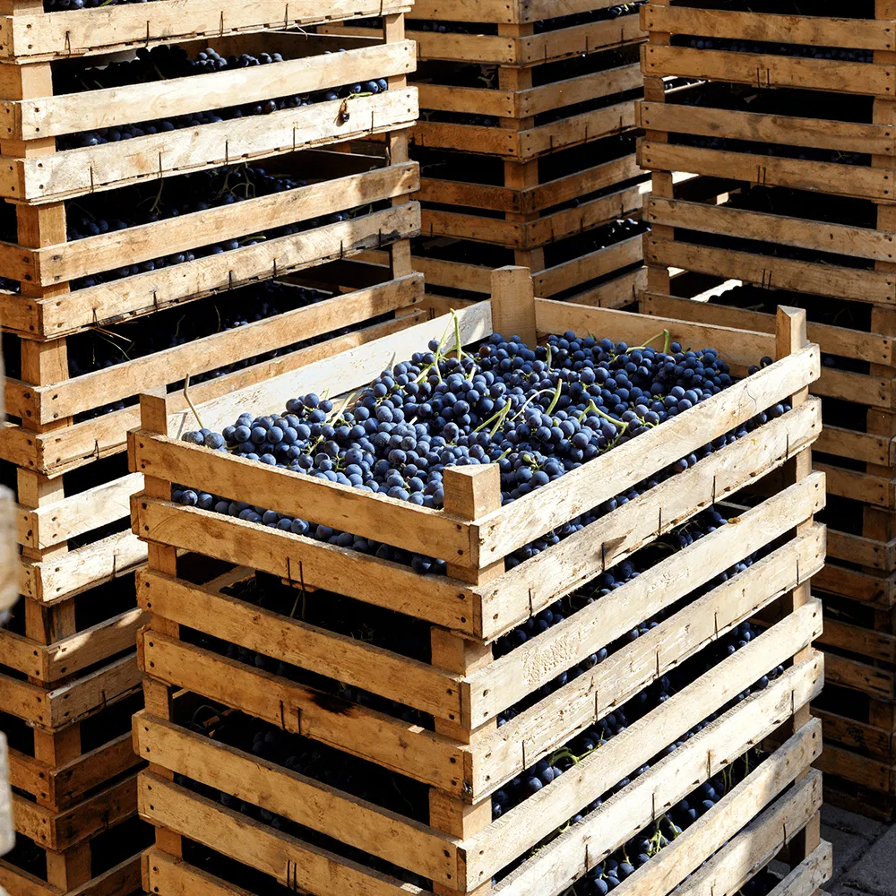 Caja de madera de vinos Delampa