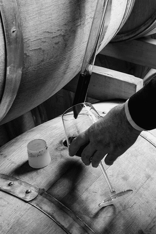 Weinprobe in Jumilla