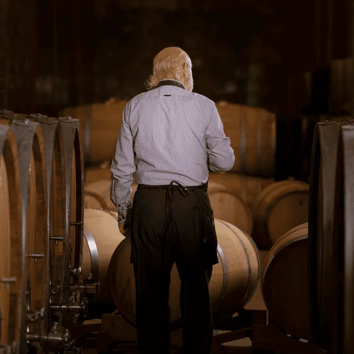 Besuch bei Bodegas Delampa in Jumilla