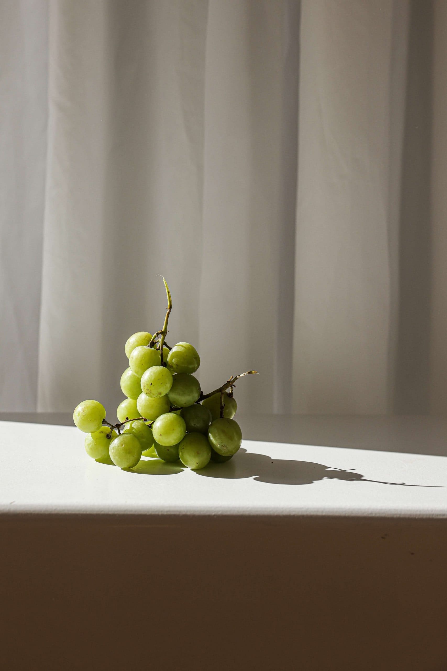 Uvas Monastrell de Jumilla