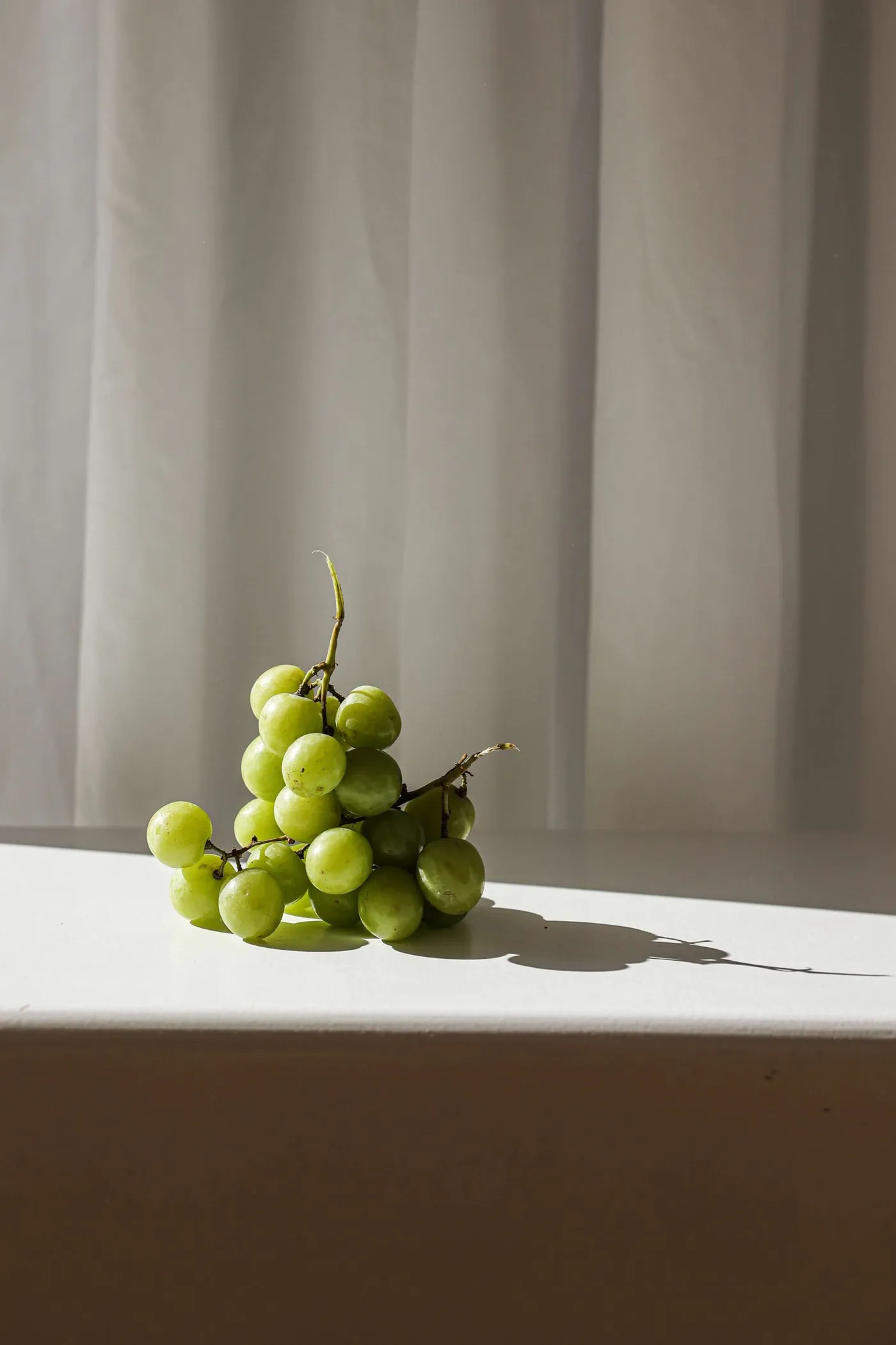 Uvas tintas de Jumilla en Bodegas Delampa